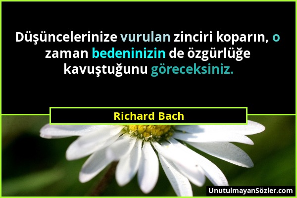 Richard Bach - Düşüncelerinize vurulan zinciri koparın, o zaman bedeninizin de özgürlüğe kavuştuğunu göreceksiniz....