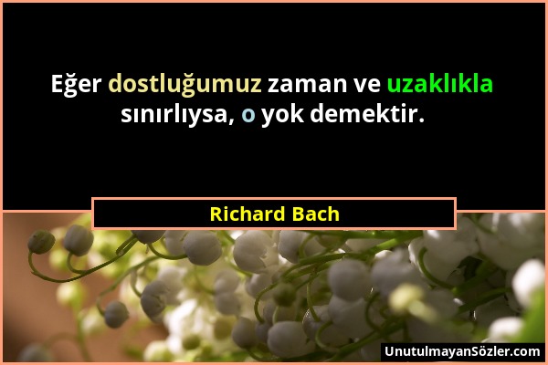 Richard Bach - Eğer dostluğumuz zaman ve uzaklıkla sınırlıysa, o yok demektir....