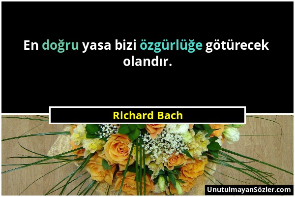Richard Bach - En doğru yasa bizi özgürlüğe götürecek olandır....