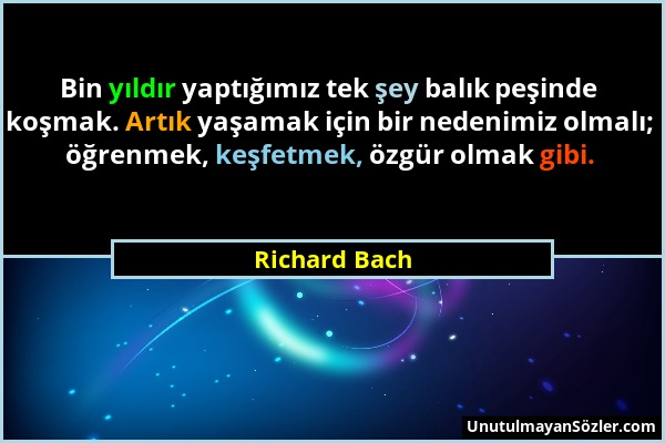 Richard Bach - Bin yıldır yaptığımız tek şey balık peşinde koşmak. Artık yaşamak için bir nedenimiz olmalı; öğrenmek, keşfetmek, özgür olmak gibi....