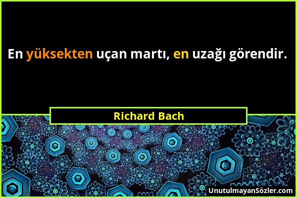 Richard Bach - En yüksekten uçan martı, en uzağı görendir....