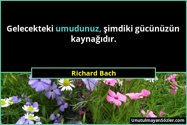 Richard Bach - Gelecekteki umudunuz, şimdiki gücünüzün kaynağıdır....