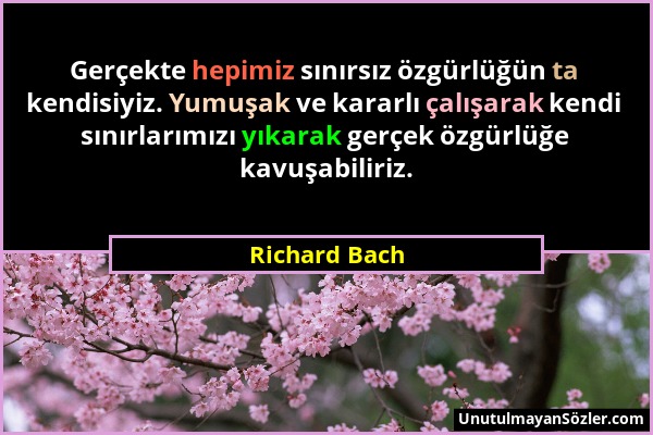 Richard Bach - Gerçekte hepimiz sınırsız özgürlüğün ta kendisiyiz. Yumuşak ve kararlı çalışarak kendi sınırlarımızı yıkarak gerçek özgürlüğe kavuşabil...