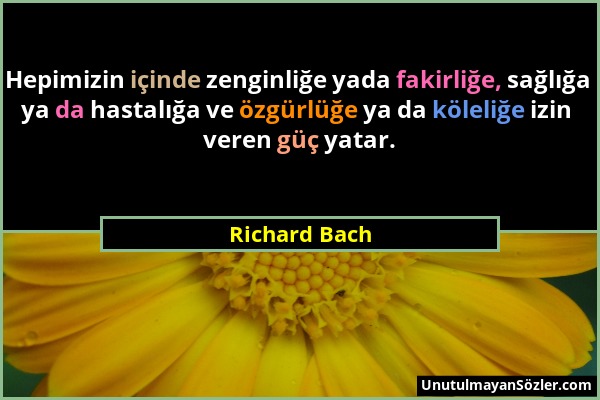 Richard Bach - Hepimizin içinde zenginliğe yada fakirliğe, sağlığa ya da hastalığa ve özgürlüğe ya da köleliğe izin veren güç yatar....