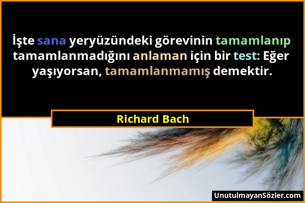 Richard Bach - İşte sana yeryüzündeki görevinin tamamlanıp tamamlanmadığını anlaman için bir test: Eğer yaşıyorsan, tamamlanmamış demektir....