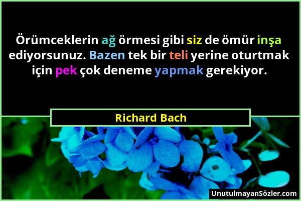 Richard Bach - Örümceklerin ağ örmesi gibi siz de ömür inşa ediyorsunuz. Bazen tek bir teli yerine oturtmak için pek çok deneme yapmak gerekiyor....
