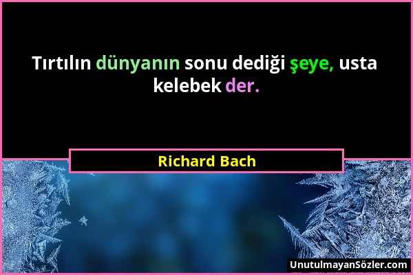 Richard Bach - Tırtılın dünyanın sonu dediği şeye, usta kelebek der....