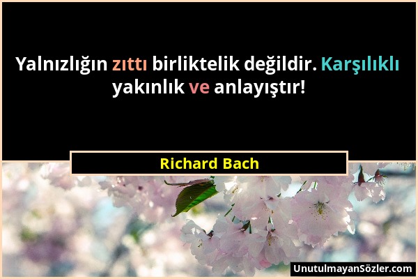 Richard Bach - Yalnızlığın zıttı birliktelik değildir. Karşılıklı yakınlık ve anlayıştır!...