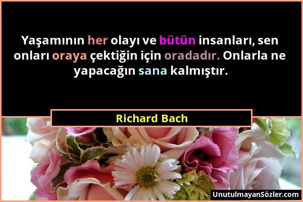 Richard Bach - Yaşamının her olayı ve bütün insanları, sen onları oraya çektiğin için oradadır. Onlarla ne yapacağın sana kalmıştır....