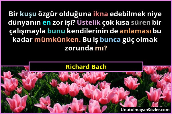 Richard Bach - Bir kuşu özgür olduğuna ikna edebilmek niye dünyanın en zor işi? Üstelik çok kısa süren bir çalışmayla bunu kendilerinin de anlaması bu...