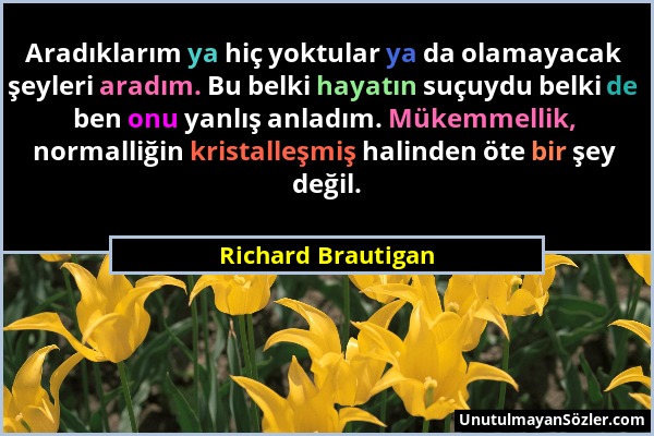 Richard Brautigan - Aradıklarım ya hiç yoktular ya da olamayacak şeyleri aradım. Bu belki hayatın suçuydu belki de ben onu yanlış anladım. Mükemmellik...