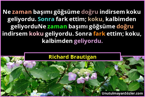 Richard Brautigan - Ne zaman başımı göğsüme doğru indirsem koku geliyordu. Sonra fark ettim; koku, kalbimden geliyorduNe zaman başımı göğsüme doğru in...