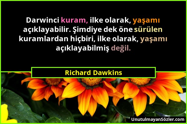 Richard Dawkins - Darwinci kuram, ilke olarak, yaşamı açıklayabilir. Şimdiye dek öne sürülen kuramlardan hiçbiri, ilke olarak, yaşamı açıklayabilmiş d...