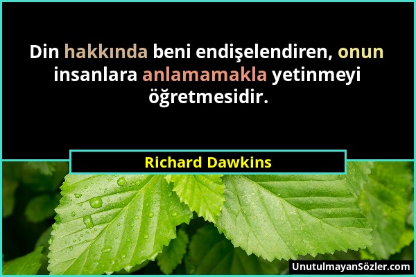 Richard Dawkins - Din hakkında beni endişelendiren, onun insanlara anlamamakla yetinmeyi öğretmesidir....