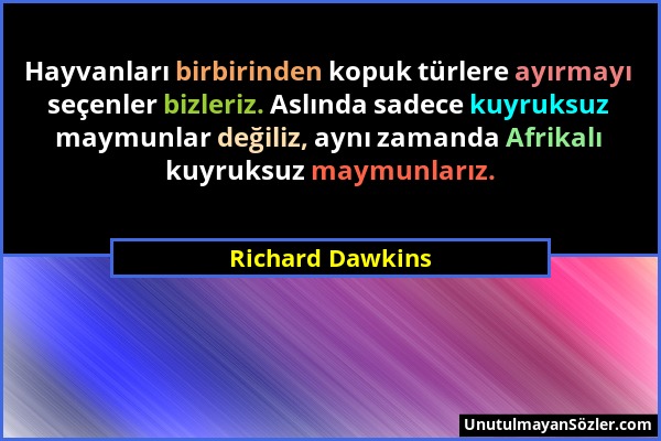 Richard Dawkins - Hayvanları birbirinden kopuk türlere ayırmayı seçenler bizleriz. Aslında sadece kuyruksuz maymunlar değiliz, aynı zamanda Afrikalı k...