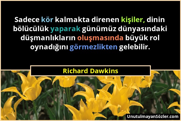 Richard Dawkins - Sadece kör kalmakta direnen kişiler, dinin bölücülük yaparak günümüz dünyasındaki düşmanlıkların oluşmasında büyük rol oynadığını gö...