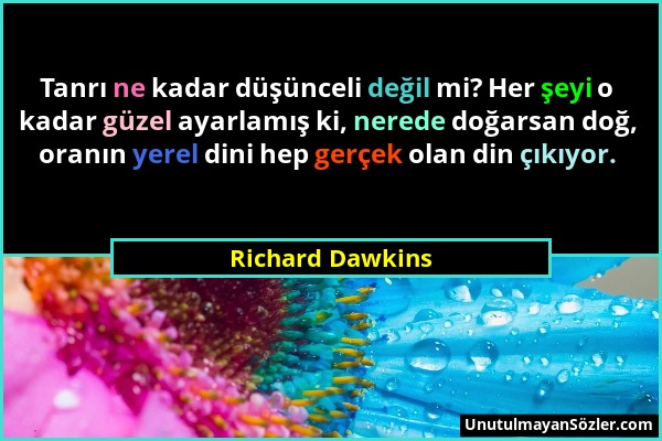 Richard Dawkins - Tanrı ne kadar düşünceli değil mi? Her şeyi o kadar güzel ayarlamış ki, nerede doğarsan doğ, oranın yerel dini hep gerçek olan din ç...