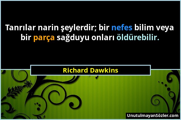 Richard Dawkins - Tanrılar narin şeylerdir; bir nefes bilim veya bir parça sağduyu onları öldürebilir....