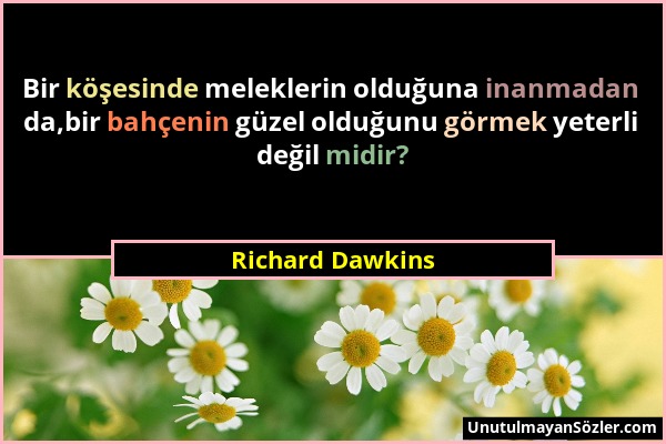 Richard Dawkins - Bir köşesinde meleklerin olduğuna inanmadan da,bir bahçenin güzel olduğunu görmek yeterli değil midir?...