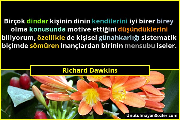 Richard Dawkins - Birçok dindar kişinin dinin kendilerini iyi birer birey olma konusunda motive ettiğini düşündüklerini biliyorum, özellikle de kişise...