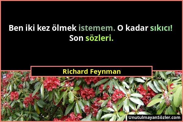Richard Feynman - Ben iki kez ölmek istemem. O kadar sıkıcı! Son sözleri....