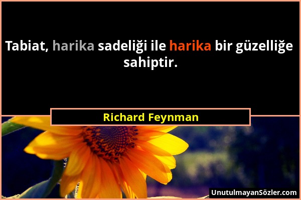 Richard Feynman - Tabiat, harika sadeliği ile harika bir güzelliğe sahiptir....