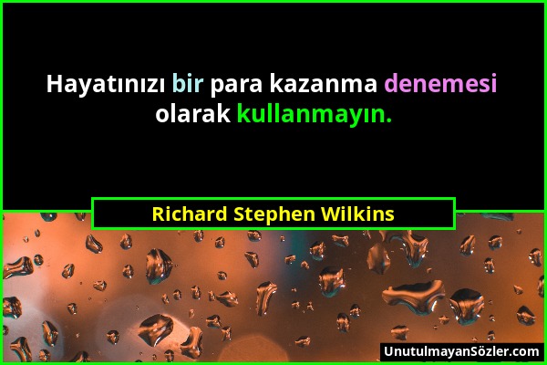 Richard Stephen Wilkins - Hayatınızı bir para kazanma denemesi olarak kullanmayın....