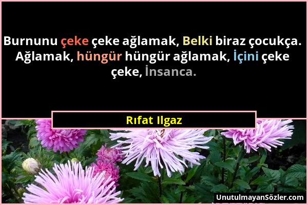 Rıfat Ilgaz - Burnunu çeke çeke ağlamak, Belki biraz çocukça. Ağlamak, hüngür hüngür ağlamak, İçini çeke çeke, İnsanca....