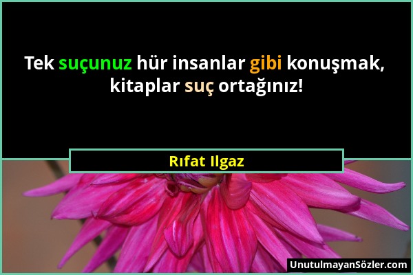 Rıfat Ilgaz - Tek suçunuz hür insanlar gibi konuşmak, kitaplar suç ortağınız!...