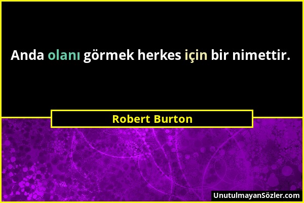 Robert Burton - Anda olanı görmek herkes için bir nimettir....