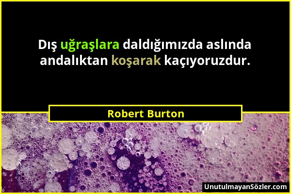 Robert Burton - Dış uğraşlara daldığımızda aslında andalıktan koşarak kaçıyoruzdur....