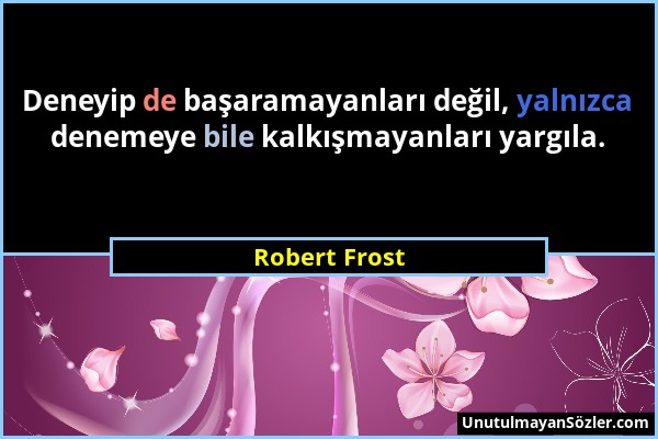 Robert Frost - Deneyip de başaramayanları değil, yalnızca denemeye bile kalkışmayanları yargıla....