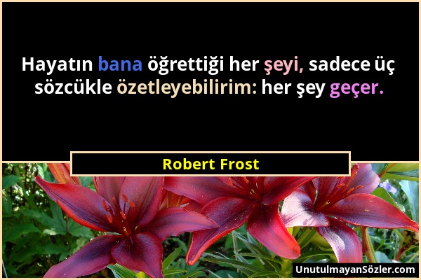 Robert Frost - Hayatın bana öğrettiği her şeyi, sadece üç sözcükle özetleyebilirim: her şey geçer....