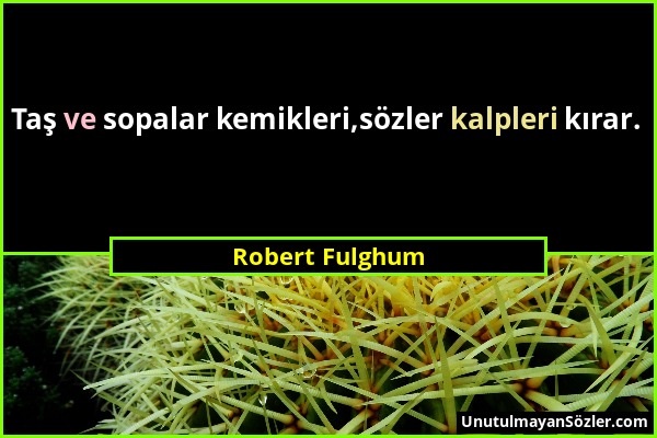 Robert Fulghum - Taş ve sopalar kemikleri,sözler kalpleri kırar....