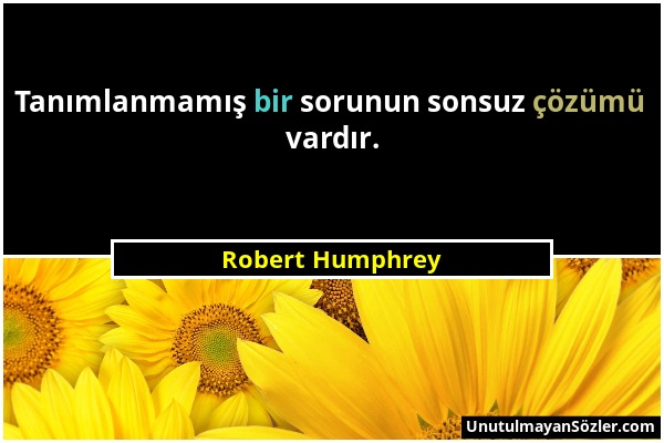 Robert Humphrey - Tanımlanmamış bir sorunun sonsuz çözümü vardır....