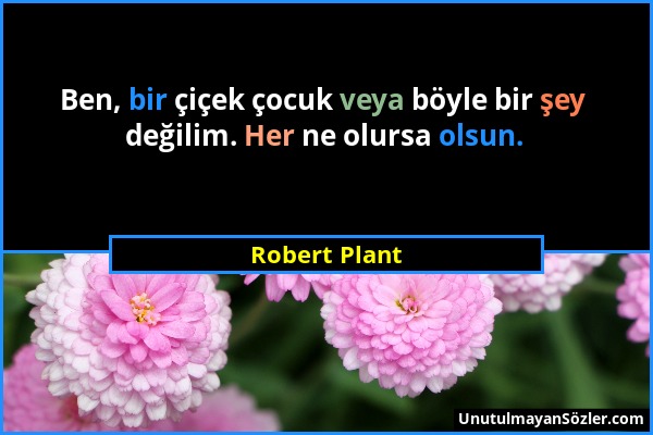 Robert Plant - Ben, bir çiçek çocuk veya böyle bir şey değilim. Her ne olursa olsun....