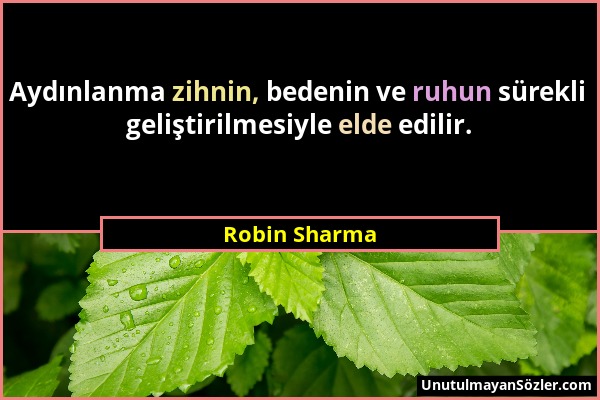 Robin Sharma - Aydınlanma zihnin, bedenin ve ruhun sürekli geliştirilmesiyle elde edilir....