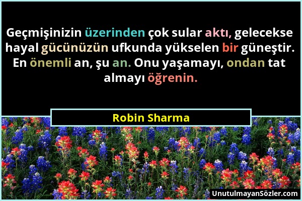 Robin Sharma - Geçmişinizin üzerinden çok sular aktı, gelecekse hayal gücünüzün ufkunda yükselen bir güneştir. En önemli an, şu an. Onu yaşamayı, onda...