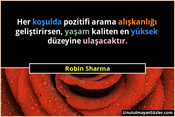 Robin Sharma - Her koşulda pozitifi arama alışkanlığı geliştirirsen, yaşam kaliten en yüksek düzeyine ulaşacaktır....