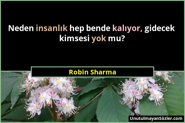 Robin Sharma - Neden insanlık hep bende kalıyor, gidecek kimsesi yok mu?...