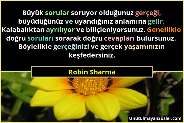 Robin Sharma - Büyük sorular soruyor olduğunuz gerçeği, büyüdüğünüz ve uyandığınız anlamına gelir. Kalabalıktan ayrılıyor ve biliçleniyorsunuz. Genell...