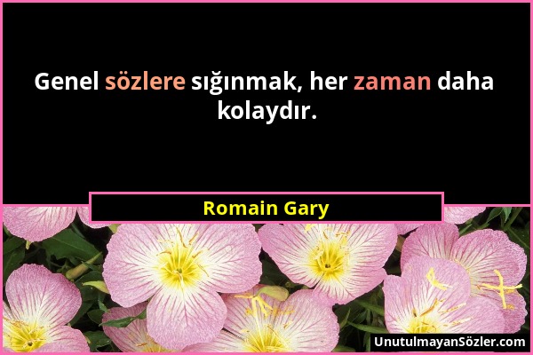 Romain Gary - Genel sözlere sığınmak, her zaman daha kolaydır....