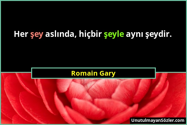 Romain Gary - Her şey aslında, hiçbir şeyle aynı şeydir....