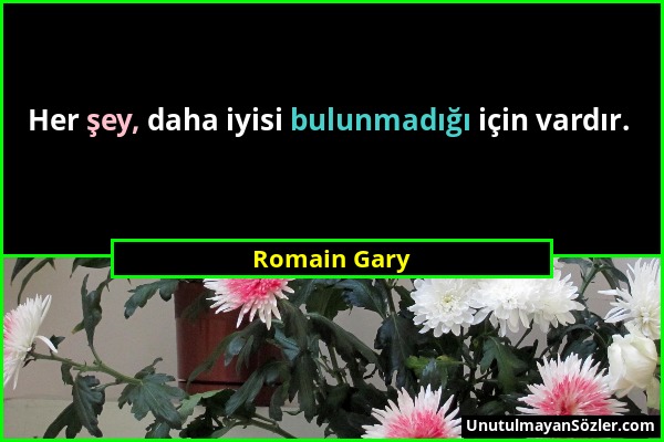 Romain Gary - Her şey, daha iyisi bulunmadığı için vardır....