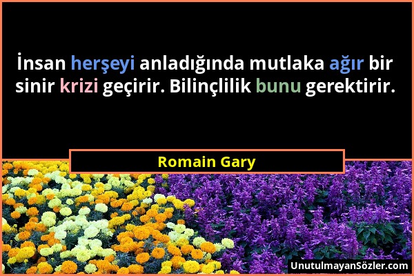Romain Gary - İnsan herşeyi anladığında mutlaka ağır bir sinir krizi geçirir. Bilinçlilik bunu gerektirir....