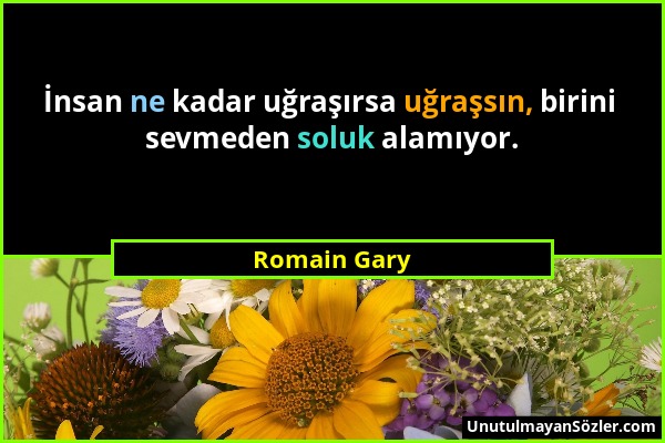 Romain Gary - İnsan ne kadar uğraşırsa uğraşsın, birini sevmeden soluk alamıyor....