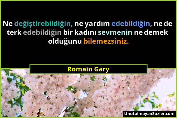 Romain Gary - Ne değiştirebildiğin, ne yardım edebildiğin, ne de terk edebildiğin bir kadını sevmenin ne demek olduğunu bilemezsiniz....