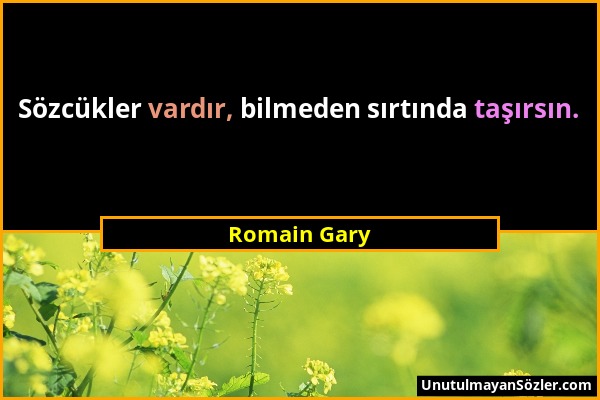 Romain Gary - Sözcükler vardır, bilmeden sırtında taşırsın....