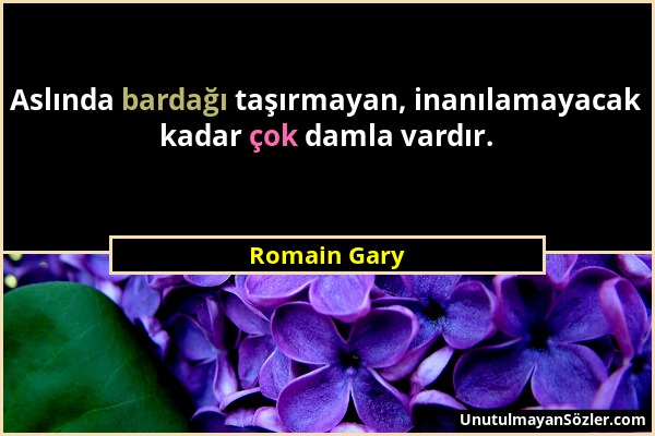 Romain Gary - Aslında bardağı taşırmayan, inanılamayacak kadar çok damla vardır....