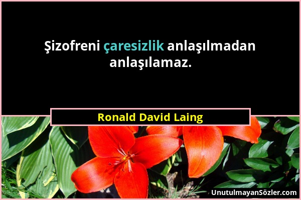 Ronald David Laing - Şizofreni çaresizlik anlaşılmadan anlaşılamaz....